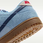 Nike Dunk Low Retro Men's Shoes