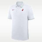 Japan National Baseball Team 2026 World Baseball Classic Striped Victory Men's Nike Dri-FIT Polo