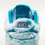 Nike Dunk Low Big Kids' Shoes