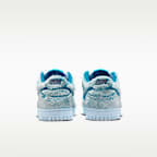Nike Dunk Low Big Kids' Shoes