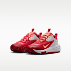 Nike Cross Turf Big Kids' Shoes