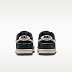 Nike Dunk Low Retro Men's Shoes