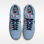 Nike Dunk Low Retro Men's Shoes