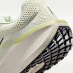 Nike Winflo 11 Men's Road Running Shoes
