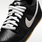 Nike SB Dunk Low Pro Skate Shoes