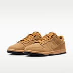Nike Dunk Low Retro SE Men's Shoes