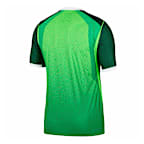 Nigeria 2026 Match Home Men's Nike Aero-FIT Soccer Authentic Jersey