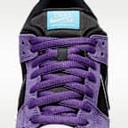 Nike SB Dunk Low Pro Skate Shoes
