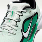 나이키 페가수스 1 G 남성 골프화(와이드)