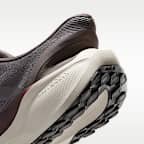 Nike Pegasus EasyOn Men's Road Running Shoes