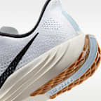 나이키 페가수스 플러스 여성 로드 러닝화