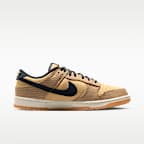 Nike Dunk Low Retro SE Men's Shoes