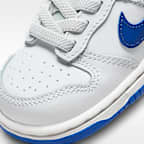 Nike Dunk Low Baby/Toddler Shoes