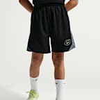 Nike Multi Big Kids' (Boys') Dri-FIT Knit Shorts