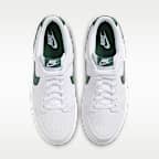 Nike Dunk Low Retro Men's Shoes