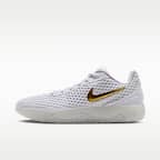 LeBron Witness X basketbalschoenen