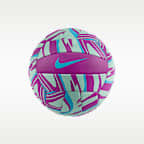 Nike Mini Volleyball