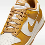 Nike Dunk Low Retro Men's Shoes