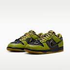 Nike Dunk Low Retro Men's Shoes