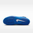 Nike Inflict Wrestling Shoes