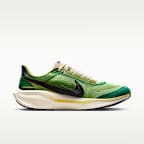 Nike Pegasus 41 SE Men's Road Running Shoes