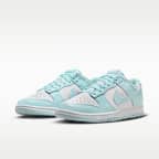 Nike Dunk Low Retro Men's Shoes