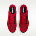 San Francisco 49ers Pegasus 41 Men's Nike NFL Road Running Shoes