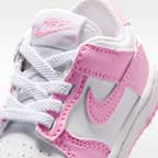 Nike Dunk Low Baby/Toddler Shoes
