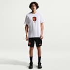 Netherlands Men's Nike Soccer T-Shirt