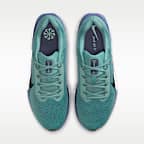 Nike Winflo 11 Men's Road Running Shoes