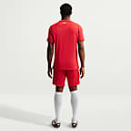 Turkey 2026 Match Home Men's Nike Aero-FIT Football Authentic Shirt