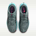 Chaussure de trail Nike Pegasus Trail 5 pour homme