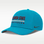 Florida State Sideline Practice Rise Men's Nike Dri-FIT College Adjustable Hat