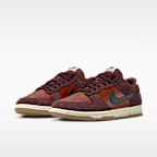 Nike Dunk Low Retro SE Men's Shoes