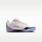 LeBron XXIII 'For The Record' Older Kids' Basketball Shoes