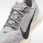 Nike Pegasus Plus Men's Road Running Shoes