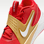 Tenis de básquetbol para niños grandes Nike Team Hustle D 12