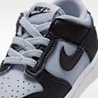 Nike Dunk Low Baby/Toddler Shoes