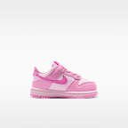 Nike Dunk Low Baby/Toddler Shoes
