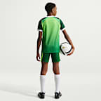 Nigeria 2026 Stadium Home Older Kids' Nike Dri-FIT Football Replica Shorts