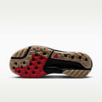 Nike ACG Pegasus Trail Traillaufschuh (Herren)