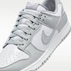 Nike Dunk Low Retro Men's Shoes