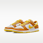 Nike Dunk Low Retro Men's Shoes