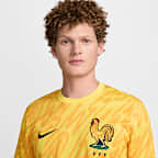 FFF (Women's Team) 2024/25 Stadium Goalkeeper Men's Nike Dri-FIT Football Replica Shirt