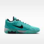 LeBron Witness 9 Basketball Shoes