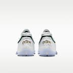 LeBron XXIII 'From This Point Forward' Basketball Shoes