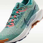 Nike Pegasus Trail 5 GORE-TEX Men's Waterproof Trail-Running Shoes