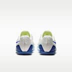 Spikes de campo traviesa Nike Zoom Rival XC 7