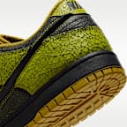 Nike Dunk Low Retro Men's Shoes