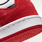 ナイキ SB アリウープ ジュニア スケートボードシューズ